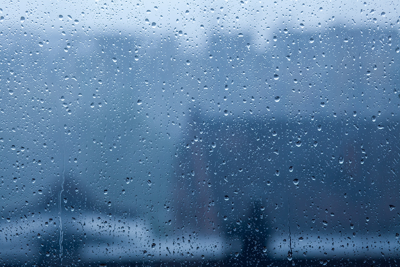 3 Pragas que invadem as casas portuguesas durante a época das chuvas