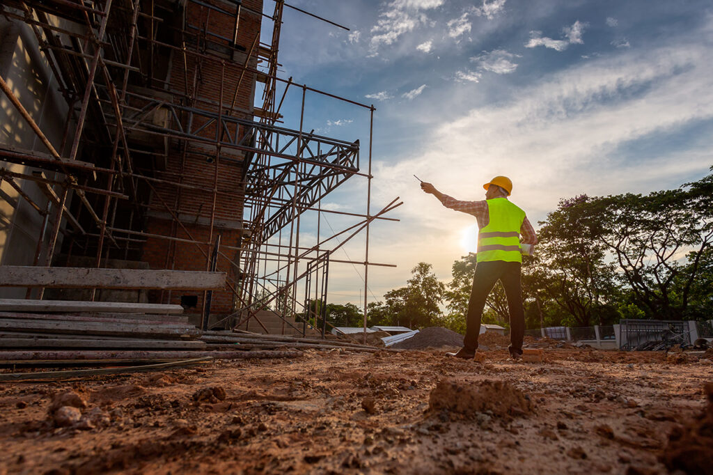 estaleiros de obras atraem roedores